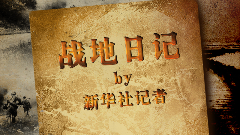 这本日记，有战斗，有牺牲，有家国，有热血！